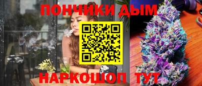 apvp Моздок