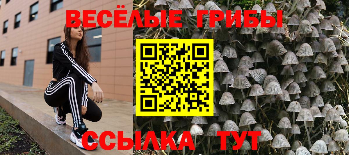 Феодосия  Кокаин  НБОМе  Вход с VPN  МЕФ кристаллы  A-PVP СОЛЬ кристаллы  ЭКСТАЗИ  ГАШИШ  ГАШ  Канабис 