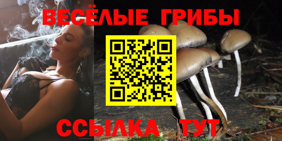 Псилоцибиновые грибы Magic Shrooms Феодосия