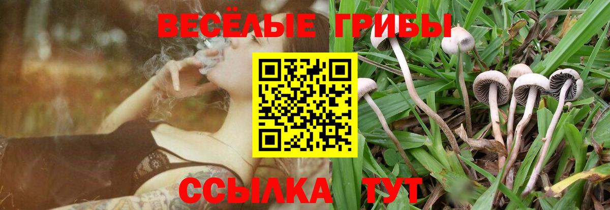 Псилоцибиновые грибы Cubensis  Вход с VPN  Феодосия 